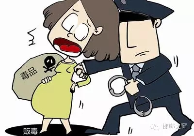 2016年初，涉縣警方查獲一起涉毒案件，鑒于該案涉案人員多、毒品交易量大，涉縣警方立即將案情上報(bào)，被公安部確立為“目標(biāo)-2016-314”號(hào)毒品案件。涉縣警方成立專案組，經(jīng)過多方追查，先后抓獲團(tuán)伙人員13名，繳獲毒品5349克，并查明上線“濮姐”的真實(shí)身份為陳某。